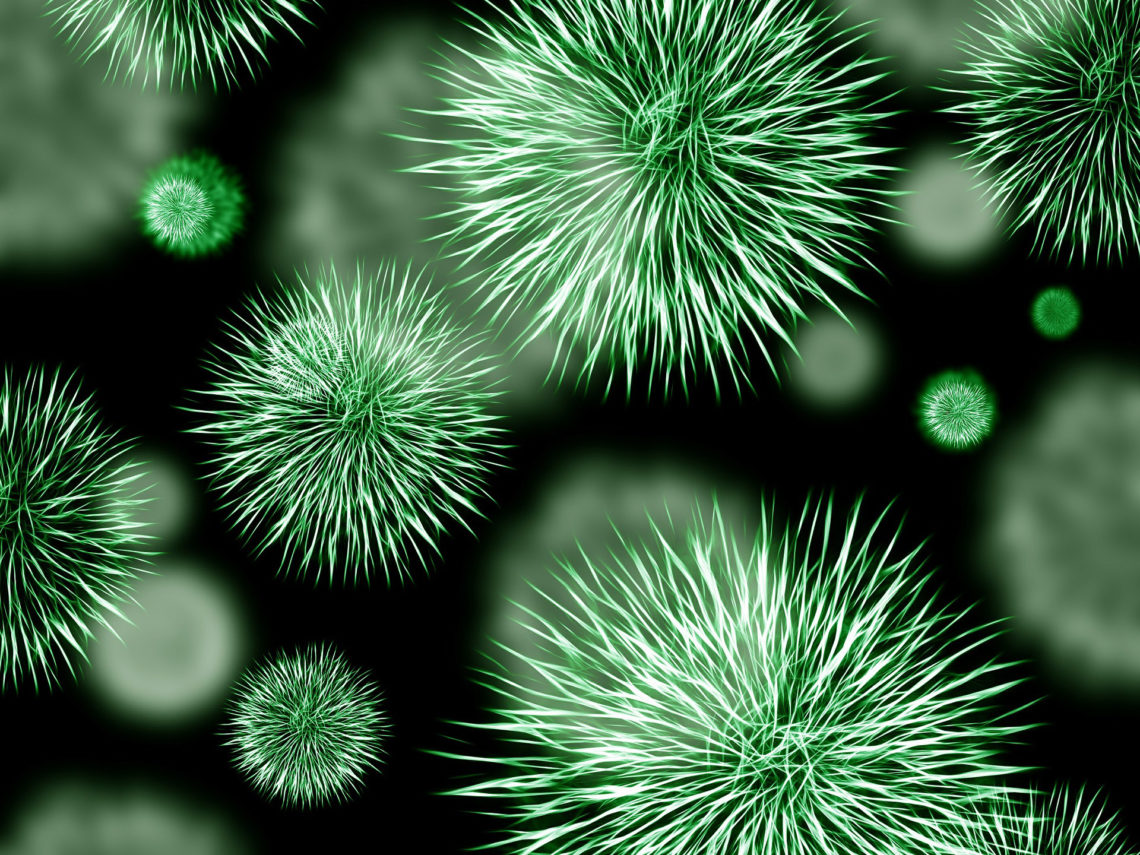 Schilddrüsenvirus