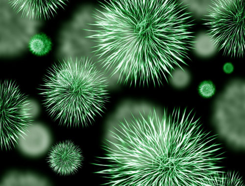 Schilddrüsenvirus