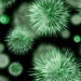 Schilddrüsenvirus